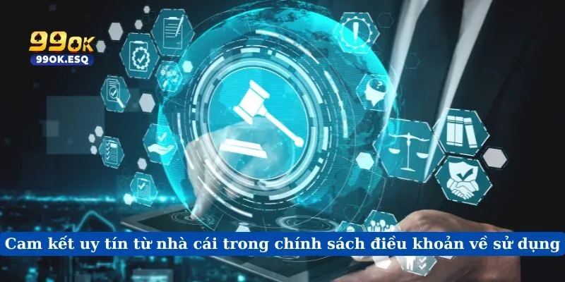 Cam kết uy tín từ nhà cái trong chính sách điều khoản về sử dụng