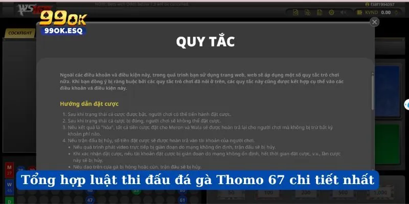 Tổng hợp luật thi đấu đá gà Thomo 67 chi tiết nhất